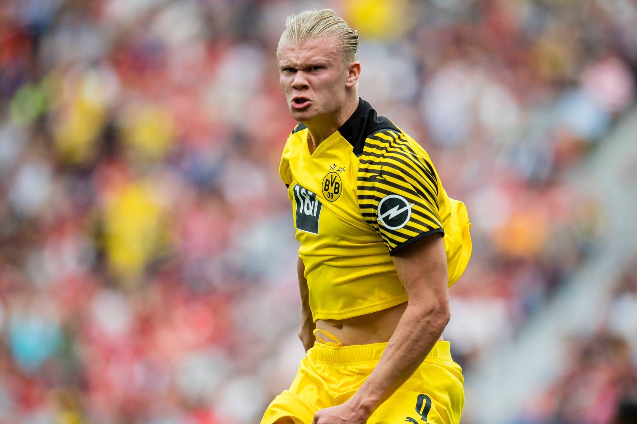 篮球盛宴：NBA杯MVP之争（篮坛狂欢：NBA杯MVP争夺战）